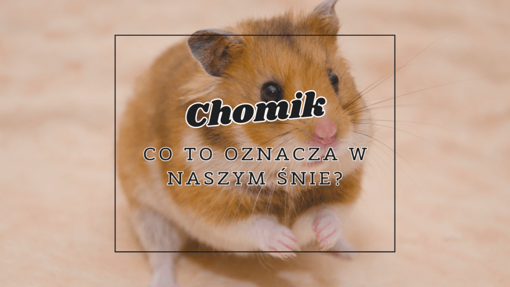 Chomik we śnie 2 chomik co oznacza we snie
