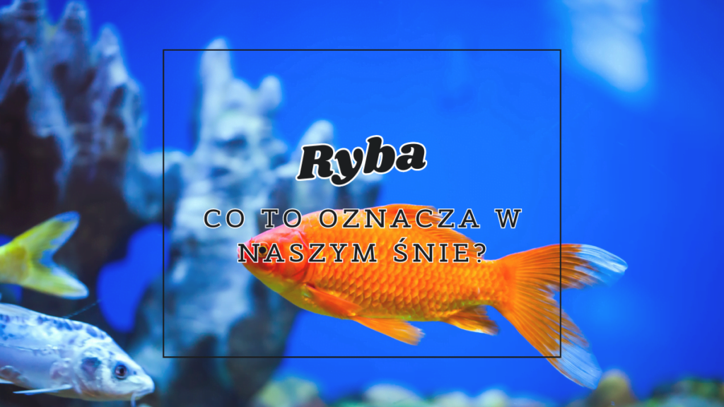 Ryba 2 ryba co oznacza we snie