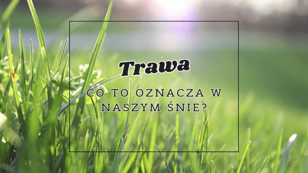 trawa co oznacza we snie