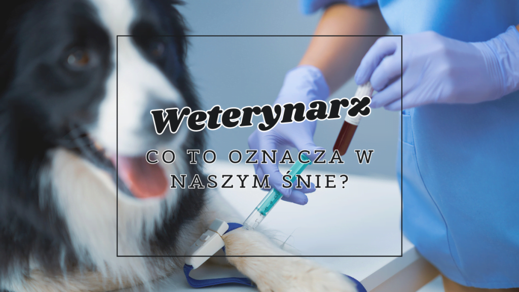 weterynarz co oznacza we snie