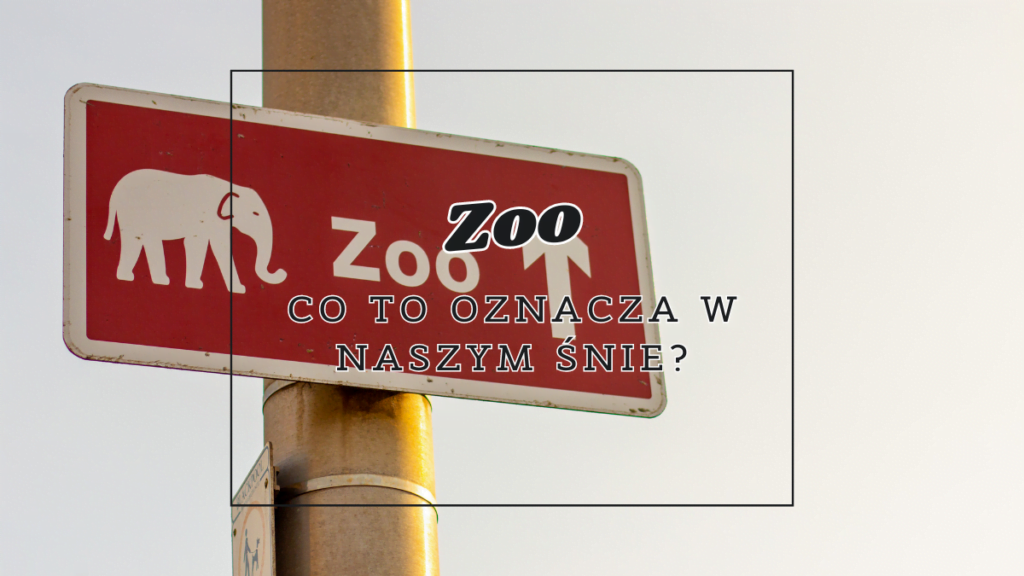 Zoo we śnie 2 zoo co oznacza we snie