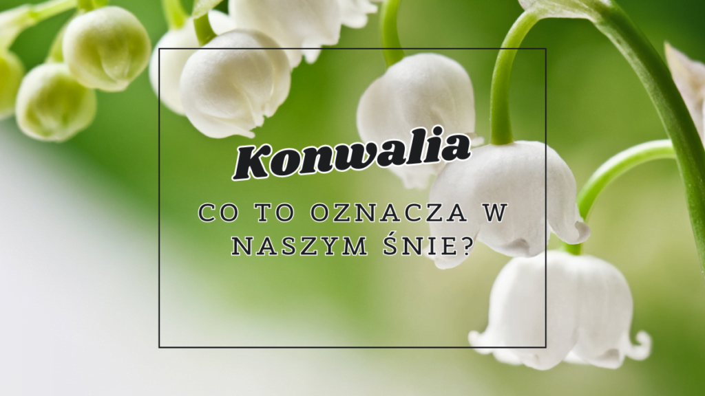 konwalia co oznacza we snie