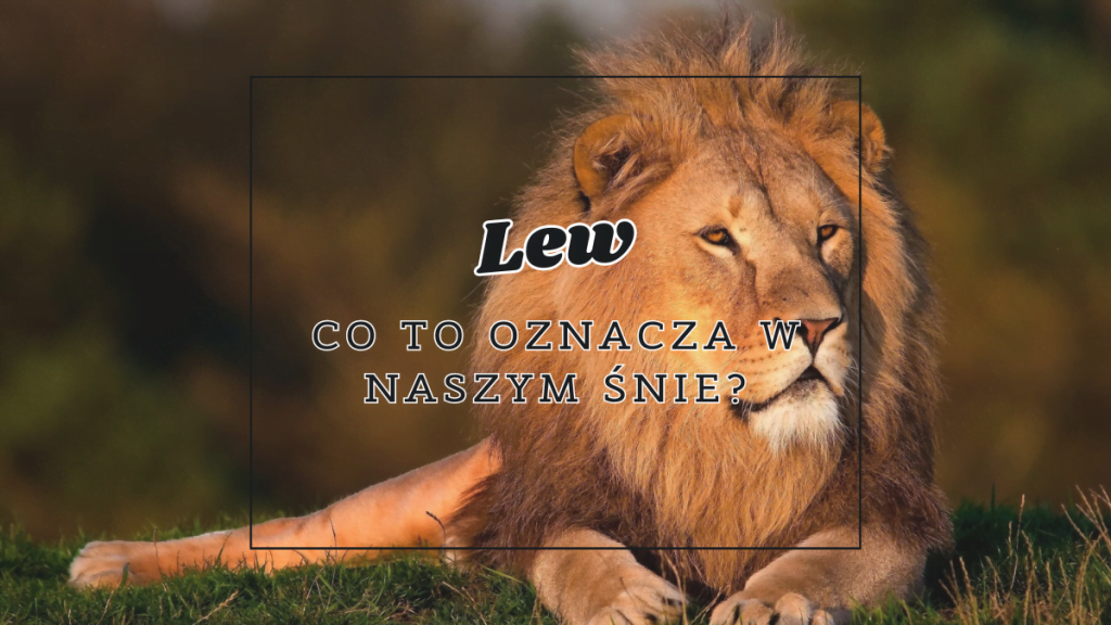 lew co oznacza w naszym snie