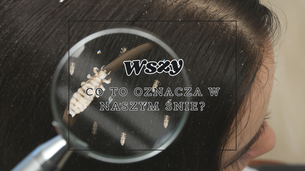 Wszy we śnie 2 wszy co oznaczaja we snie