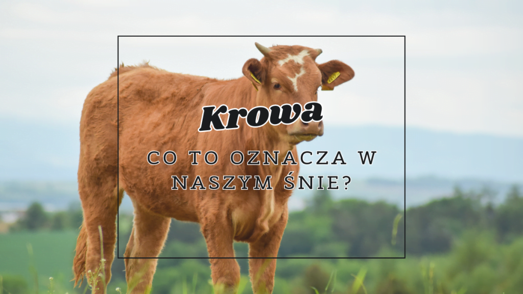 Krowa we śnie 2 krowa co to oznacza we snie