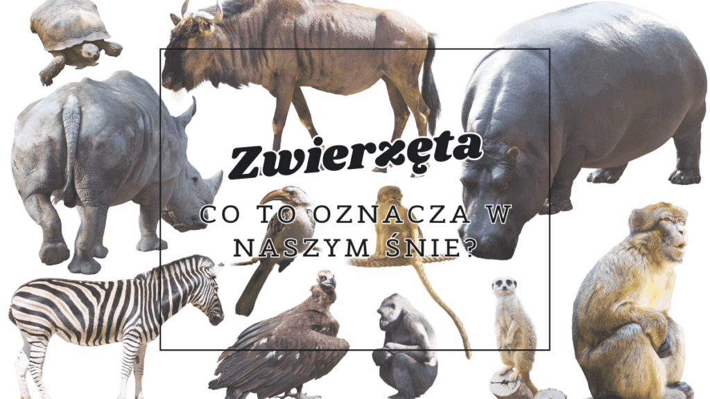 Zwierzeta co oznaczaja we snie
